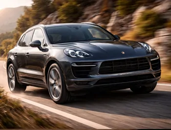 Porsche TD Turbo Diesel Remapping